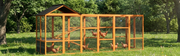 Best Chicken Coops for a Backyard Small Flock in 2026 ：Tested & Reviewed
