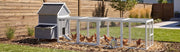 Best Chicken Coops 2026: The 4 That Aren't Junk