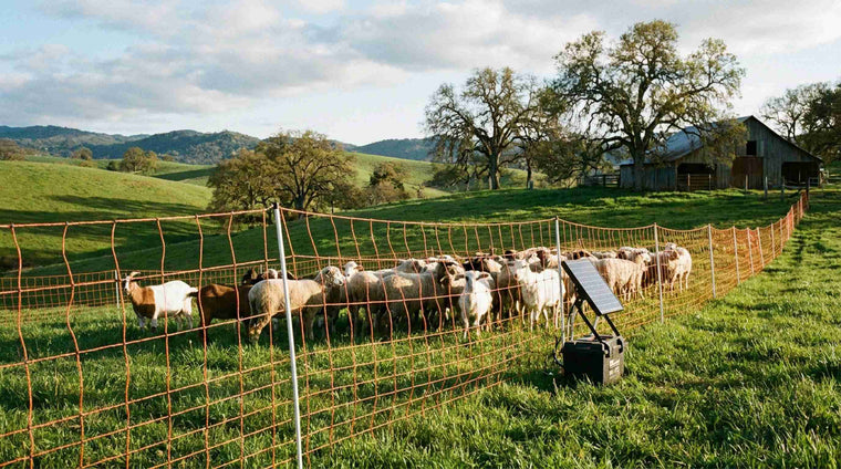 A power fence works as a psychological barrier, not a physical one. Everything depends on the energizer behind it.