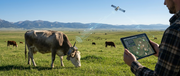 How GPS, Drones, and AI Are Quietly Transforming Modern Ranching