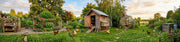 The Best Chicken Coops for Backyard Flocks