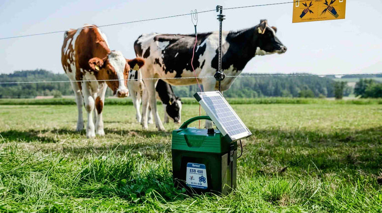 Portable solar electric fence charger with cattle in a pasture.